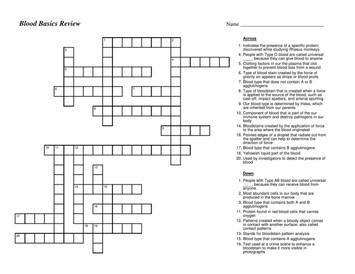 Blood basics quiz answer key