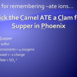 Nick the camel ate supper in phoenix