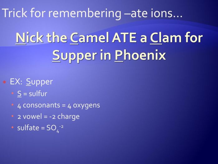 Nick the camel ate supper in phoenix