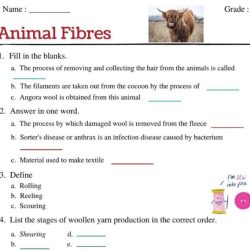 Hair and fiber unit worksheet answers