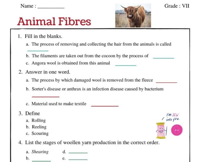 Hair and fiber unit worksheet answers