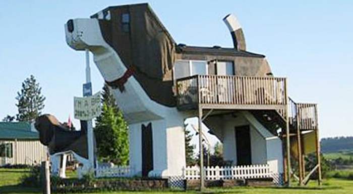 Dog bark park inn hotel idaho cottonwood hotels beagle biggest house shaped night inside spend usa most wltx houses friendly