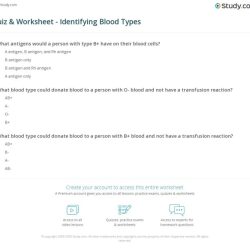 Blood basics quiz answer key