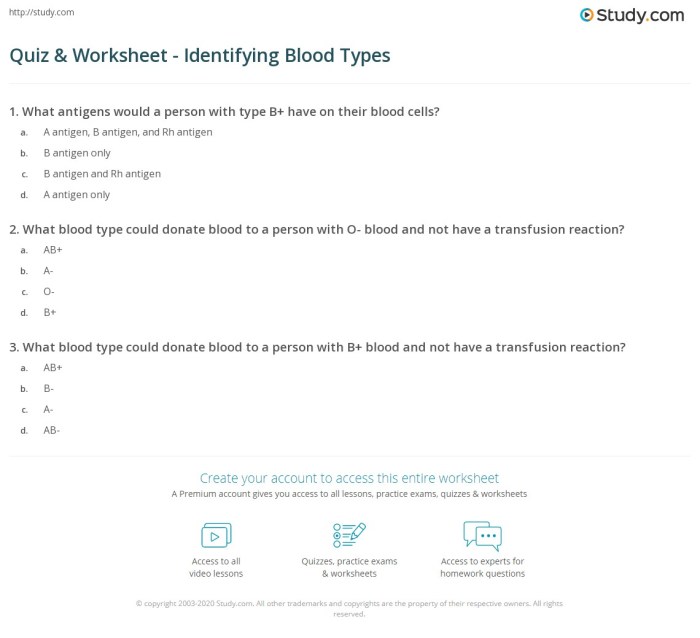 Blood basics quiz answer key