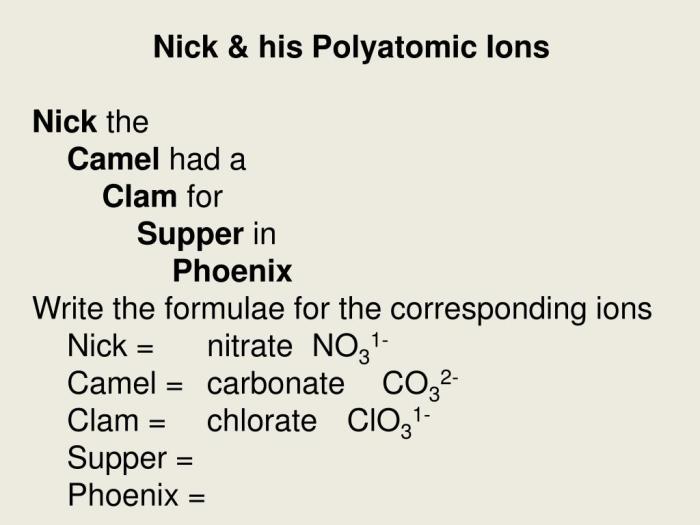 Nick the camel ate supper in phoenix