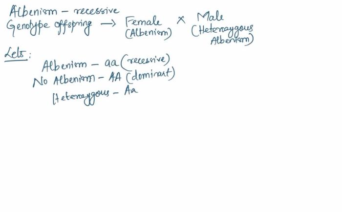 Albinism autosomal recessive trait genotype 1pt transcribed