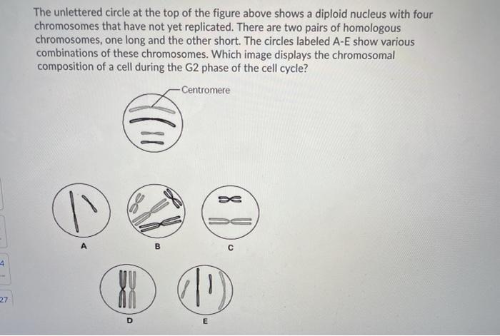 The unlettered circle at the top of the figure