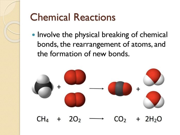 Identify the statement below that is true about chemical reactions